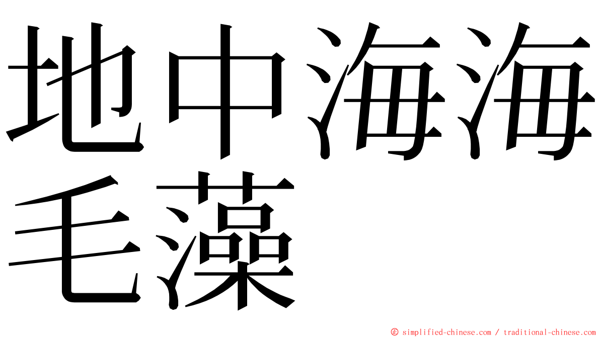 地中海海毛藻 ming font