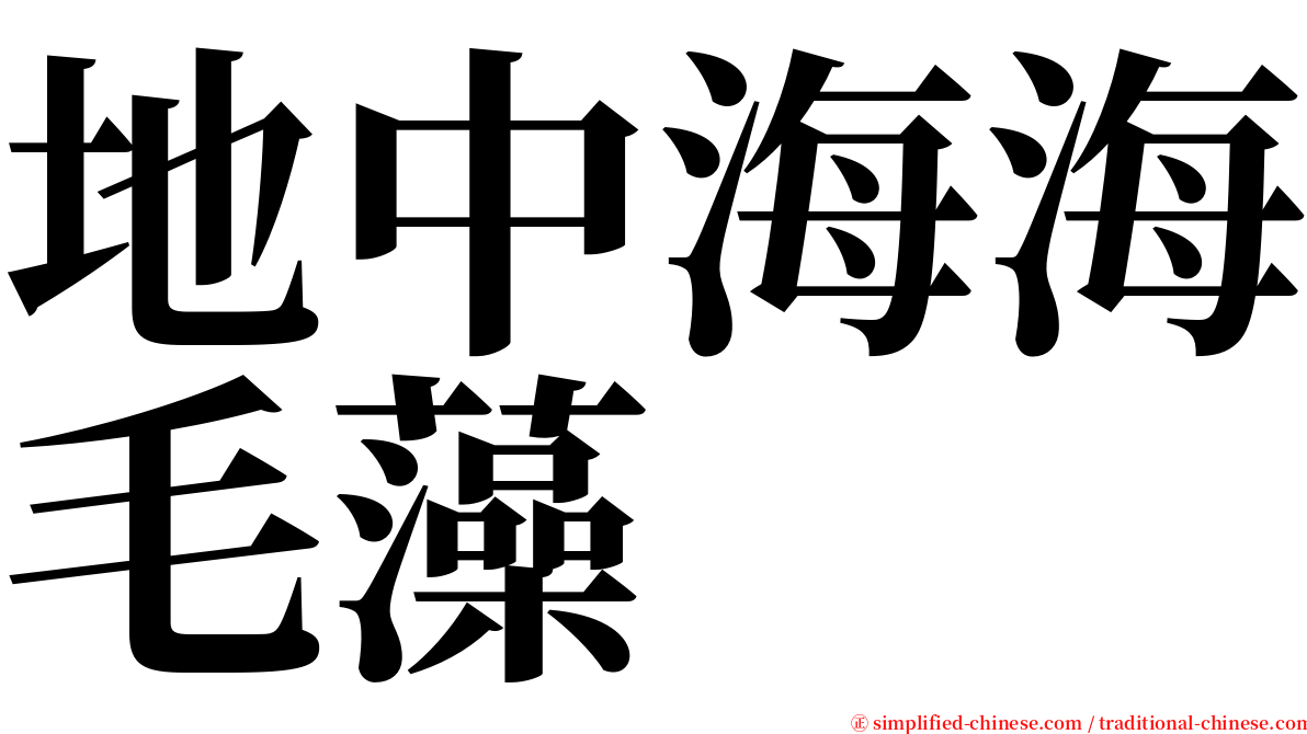 地中海海毛藻 serif font