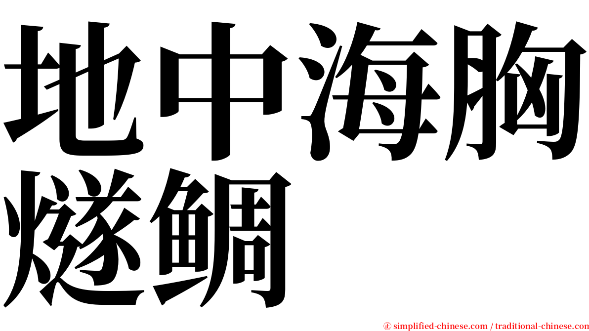 地中海胸燧鲷 serif font