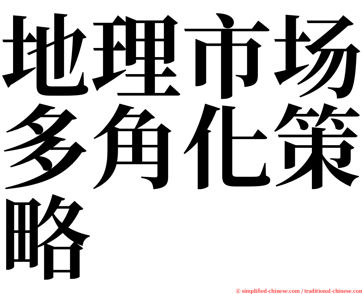 地理市场多角化策略 serif font