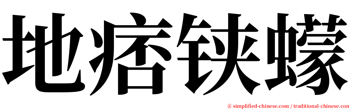 地痞铗蠓 serif font