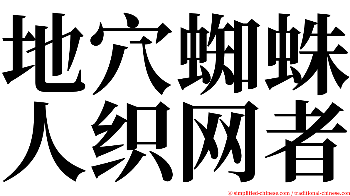 地穴蜘蛛人织网者 serif font