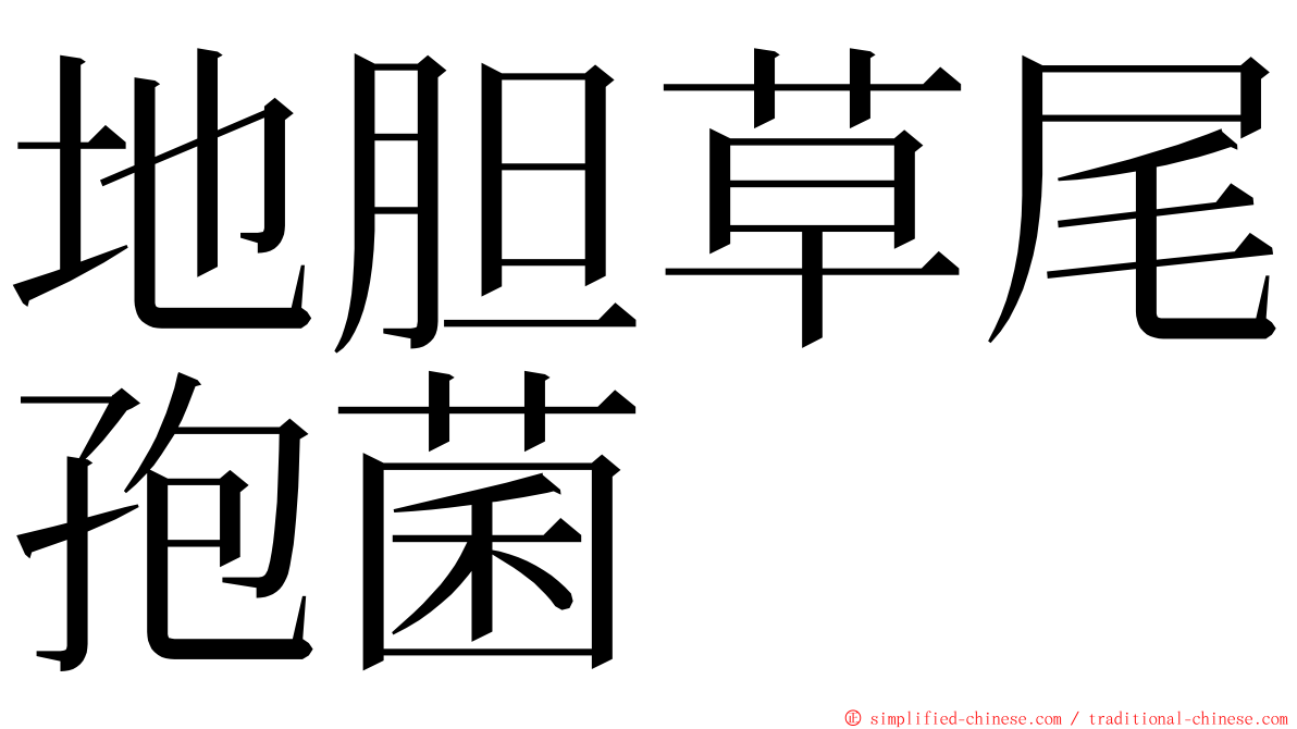 地胆草尾孢菌 ming font