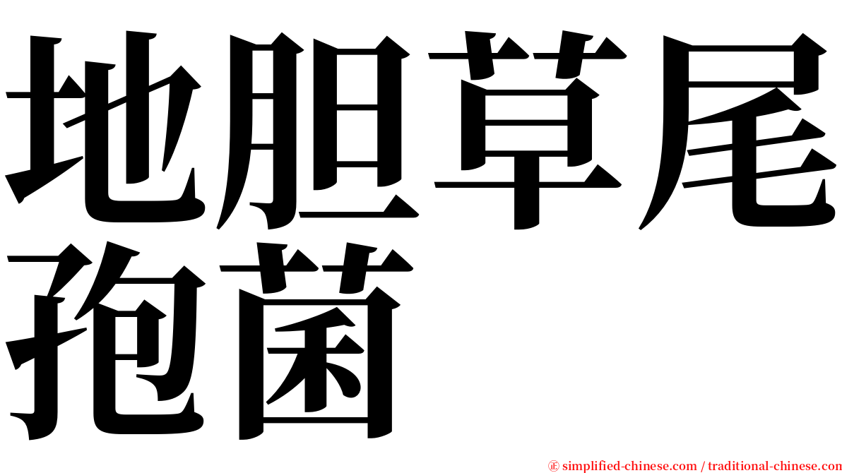 地胆草尾孢菌 serif font