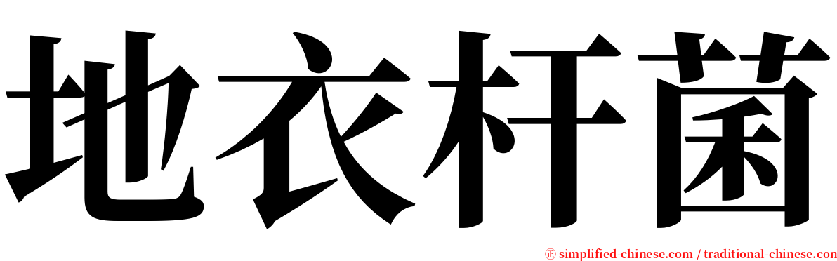 地衣杆菌 serif font