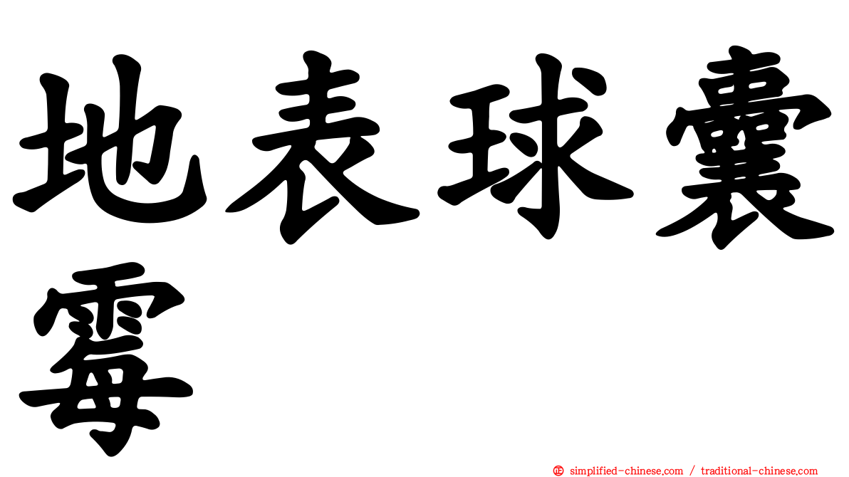 地表球囊霉