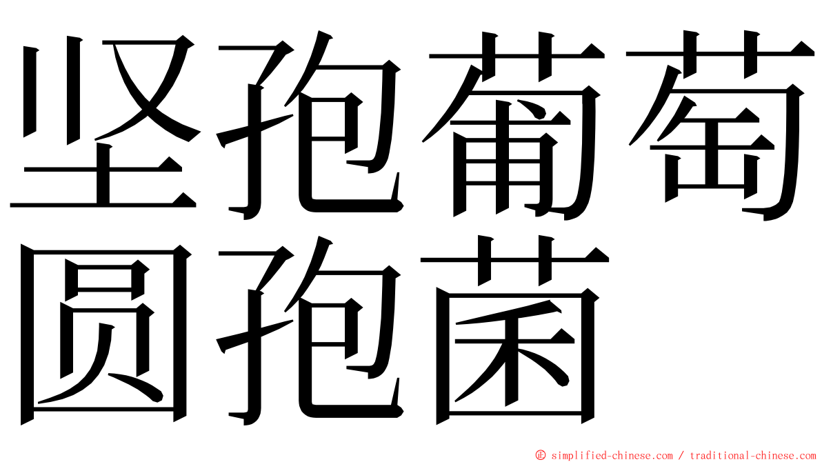 坚孢葡萄圆孢菌 ming font