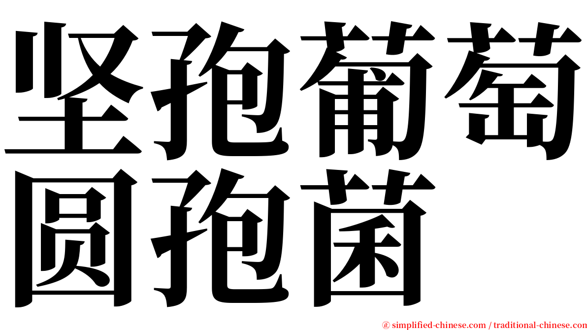 坚孢葡萄圆孢菌 serif font