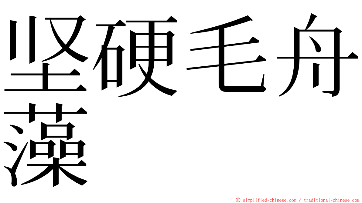 坚硬毛舟藻 ming font