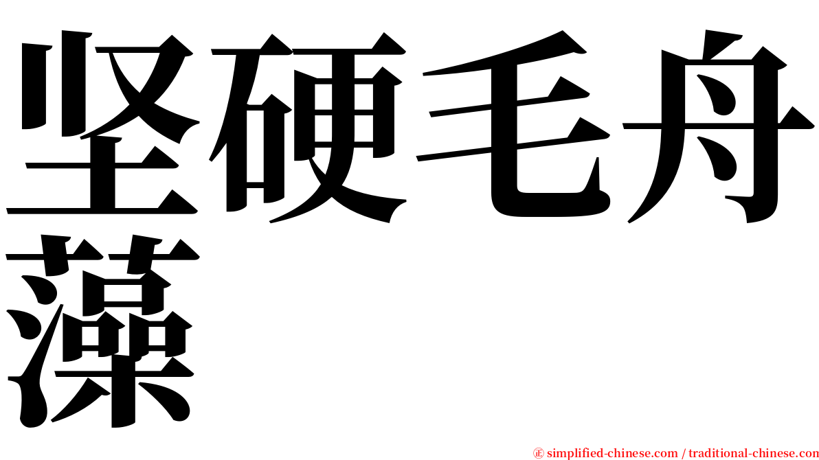 坚硬毛舟藻 serif font