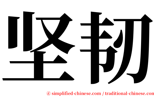 坚韧 serif font