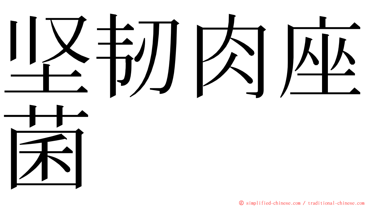 坚韧肉座菌 ming font