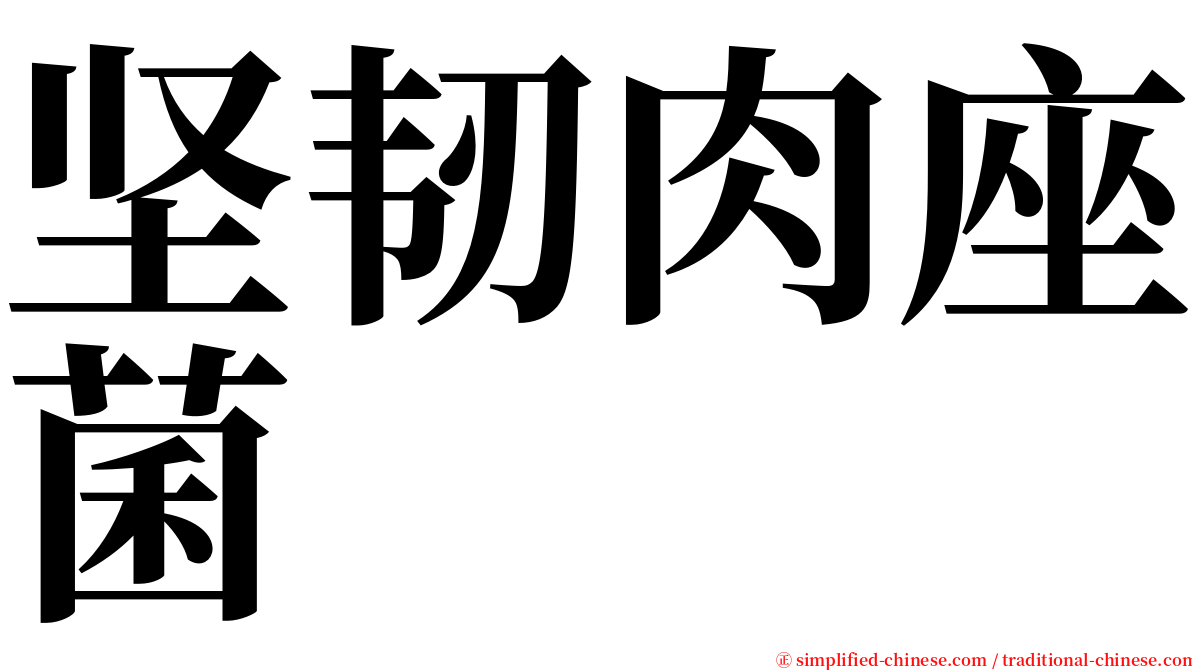 坚韧肉座菌 serif font