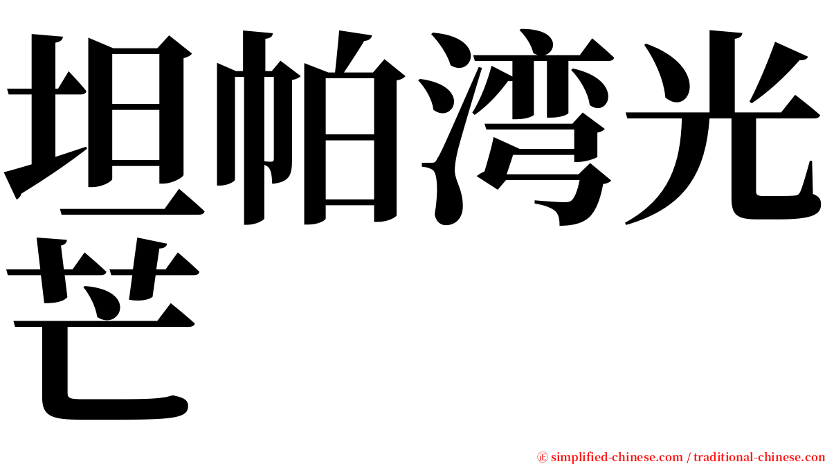 坦帕湾光芒 serif font