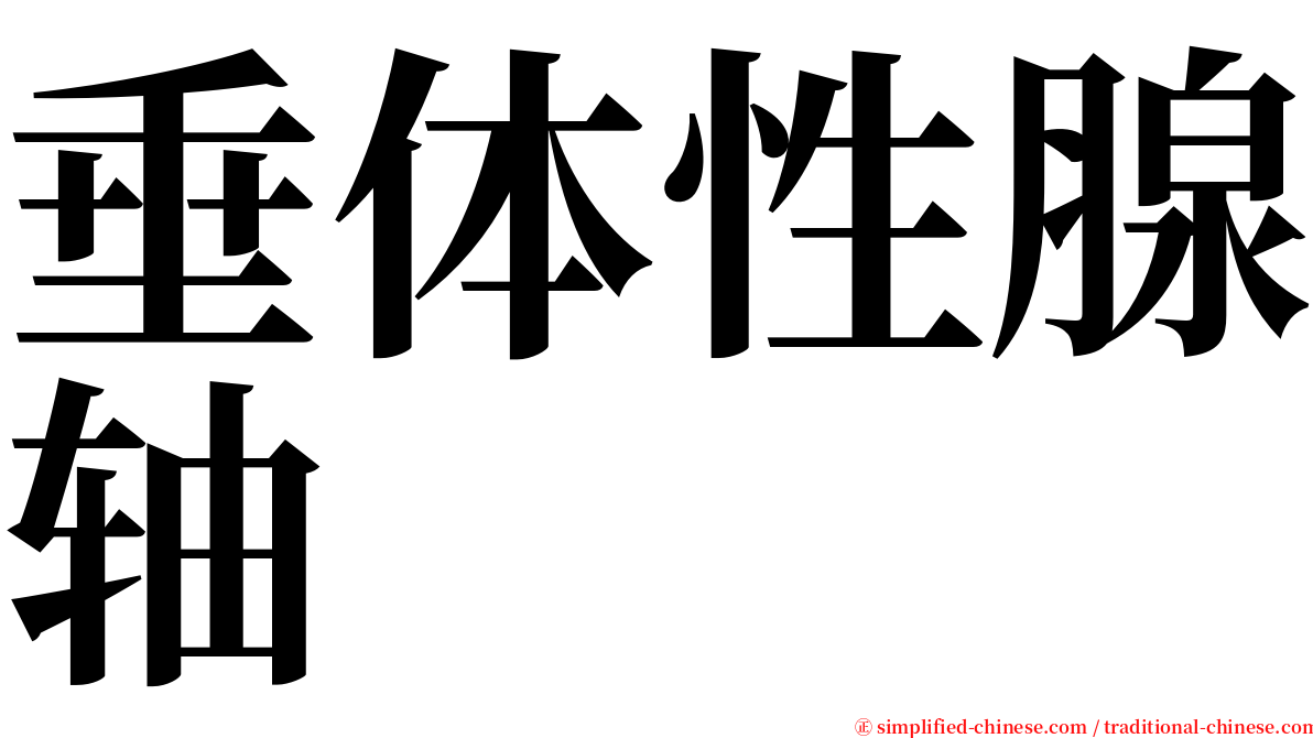 垂体性腺轴 serif font