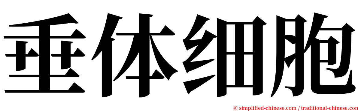 垂体细胞 serif font