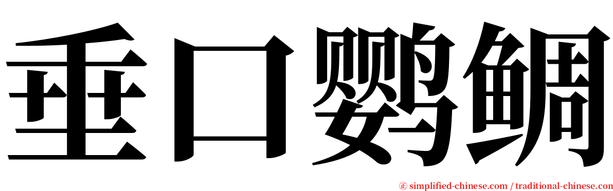 垂口鹦鲷 serif font