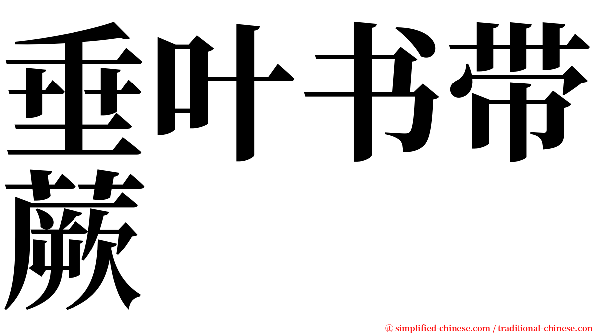 垂叶书带蕨 serif font