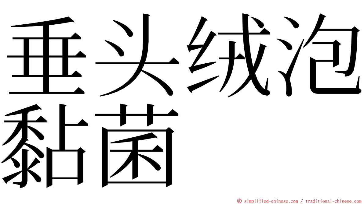 垂头绒泡黏菌 ming font