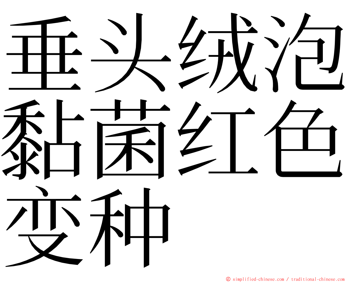 垂头绒泡黏菌红色变种 ming font