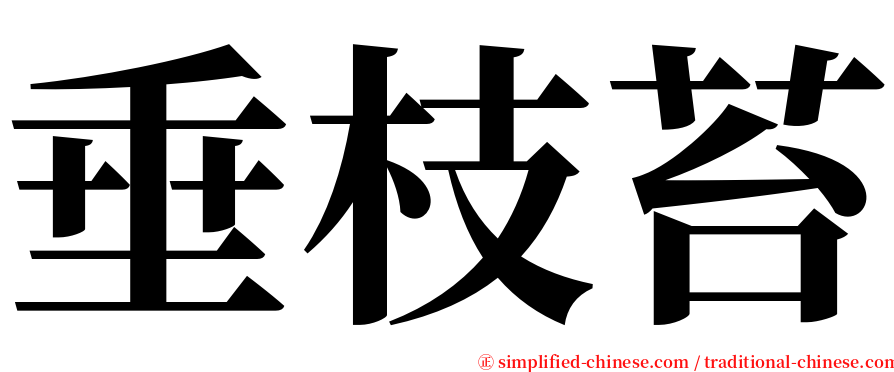 垂枝苔 serif font