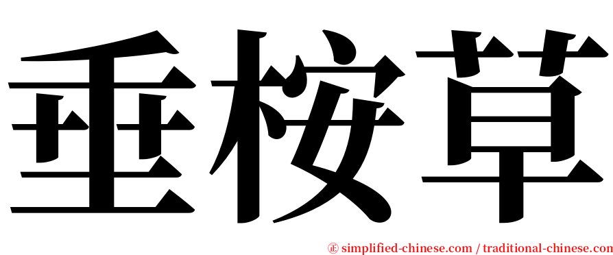 垂桉草 serif font