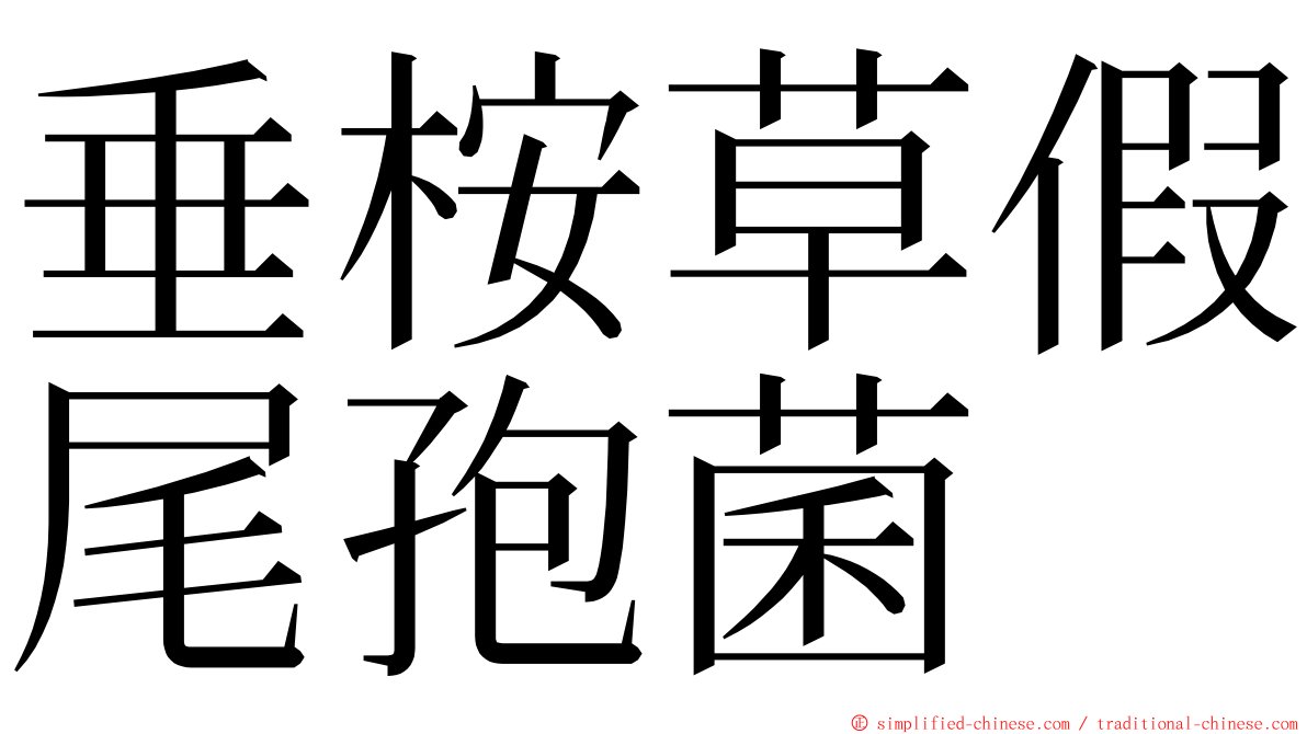 垂桉草假尾孢菌 ming font