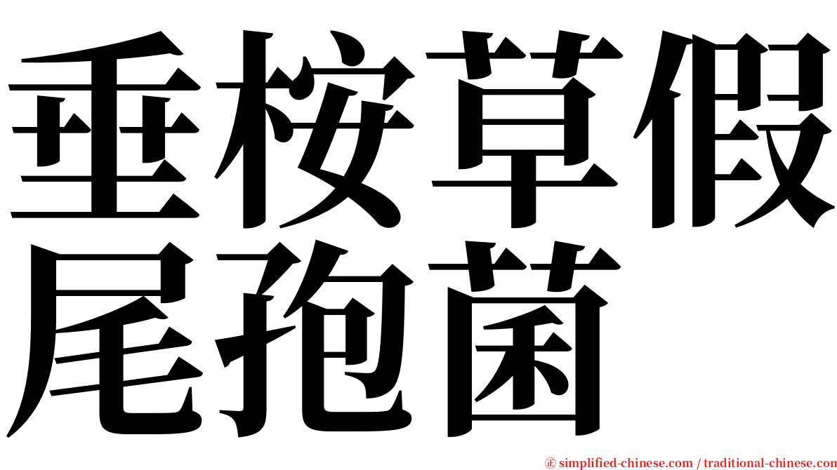 垂桉草假尾孢菌 serif font