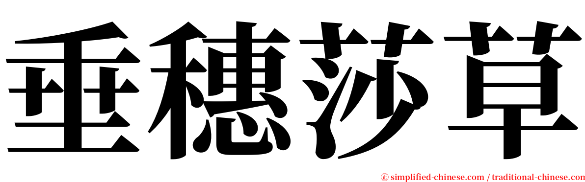 垂穗莎草 serif font