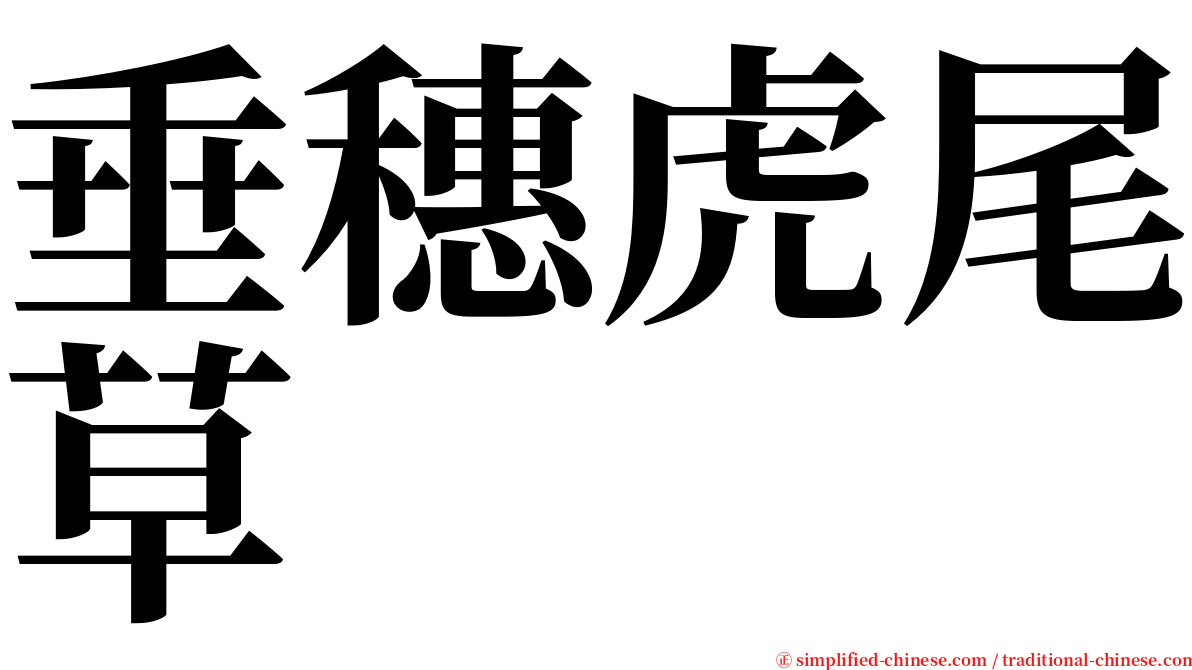 垂穗虎尾草 serif font