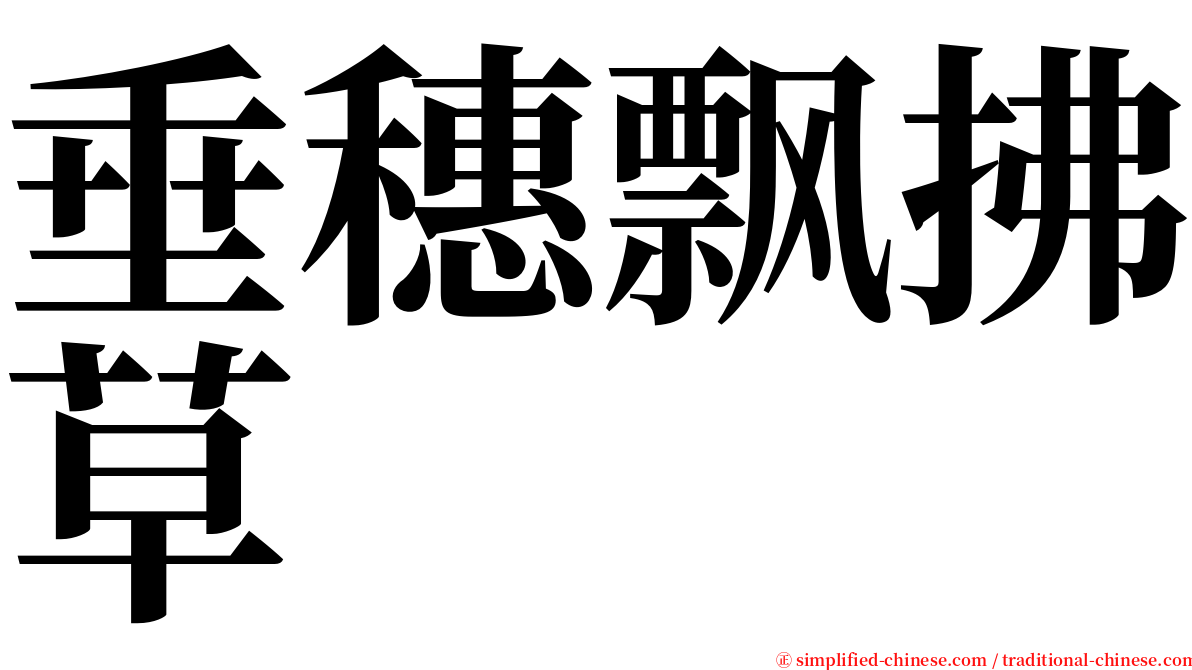 垂穗飘拂草 serif font