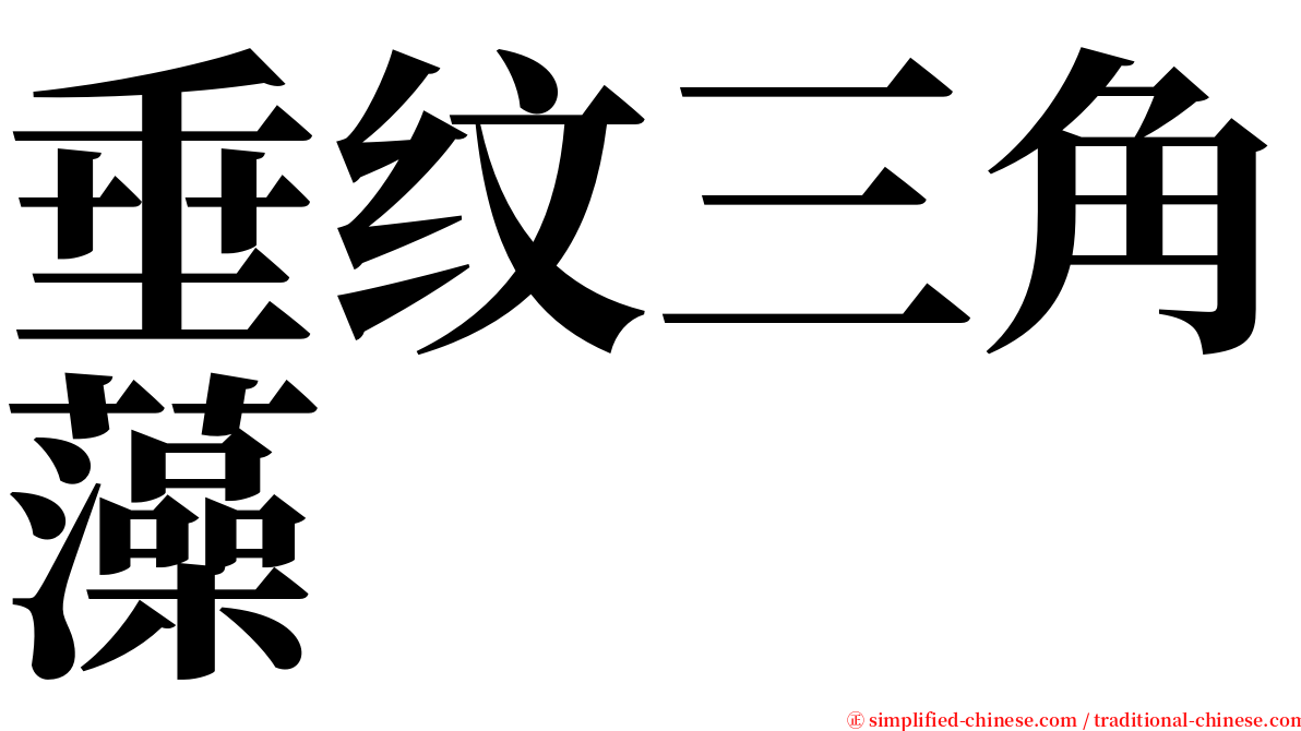 垂纹三角藻 serif font