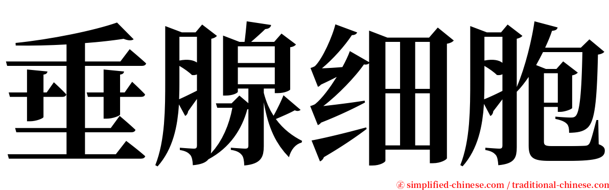 垂腺细胞 serif font