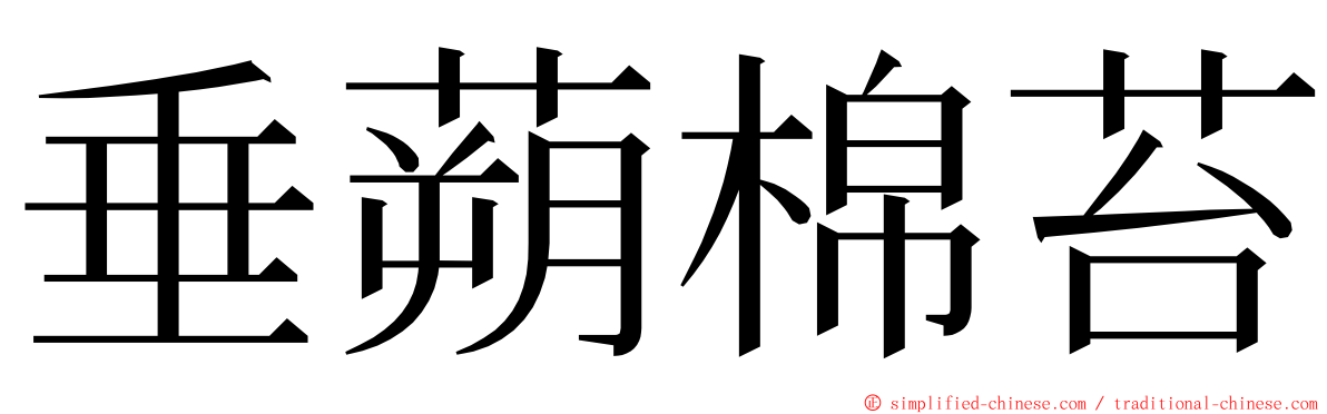 垂蒴棉苔 ming font