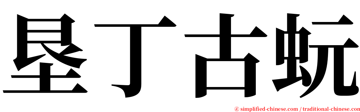 垦丁古蚖 serif font