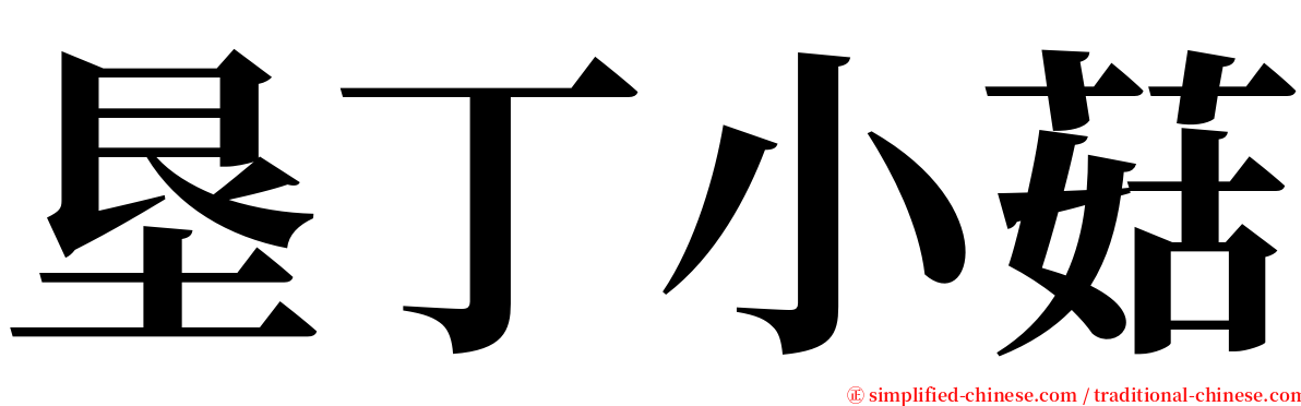 垦丁小菇 serif font