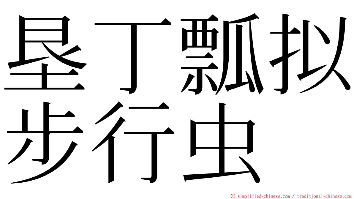 垦丁瓢拟步行虫 ming font