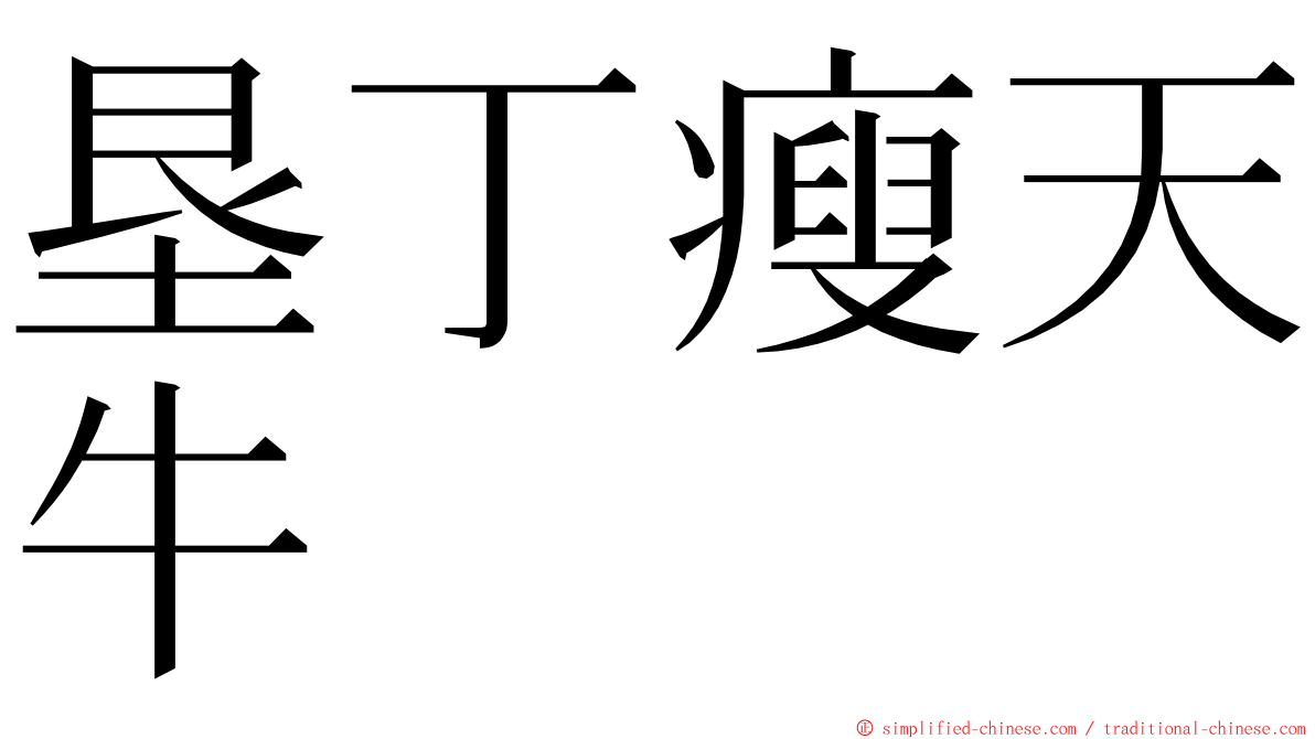 垦丁瘦天牛 ming font