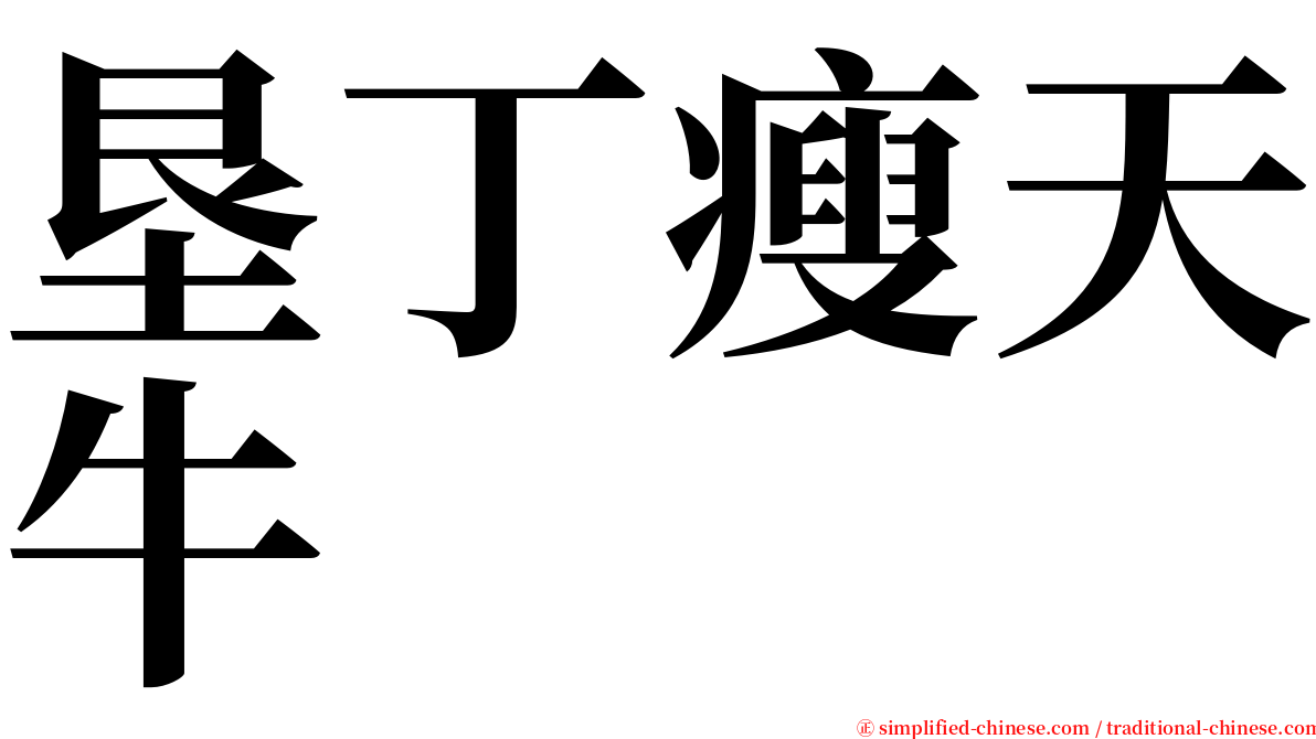 垦丁瘦天牛 serif font