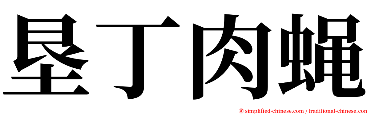 垦丁肉蝇 serif font