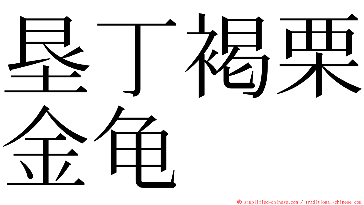 垦丁褐栗金龟 ming font