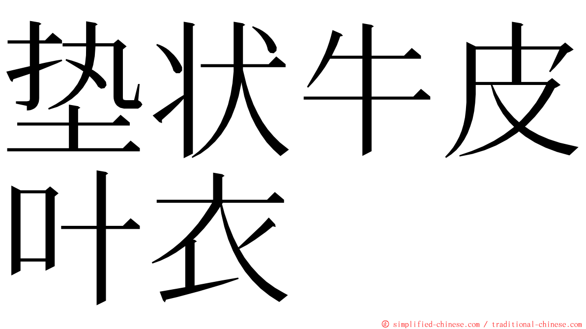 垫状牛皮叶衣 ming font