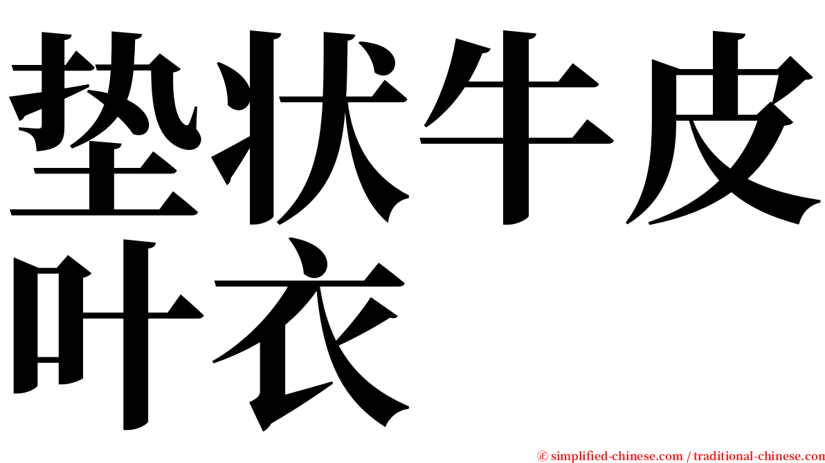 垫状牛皮叶衣 serif font