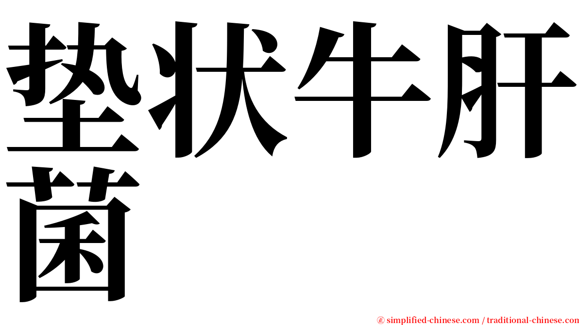 垫状牛肝菌 serif font