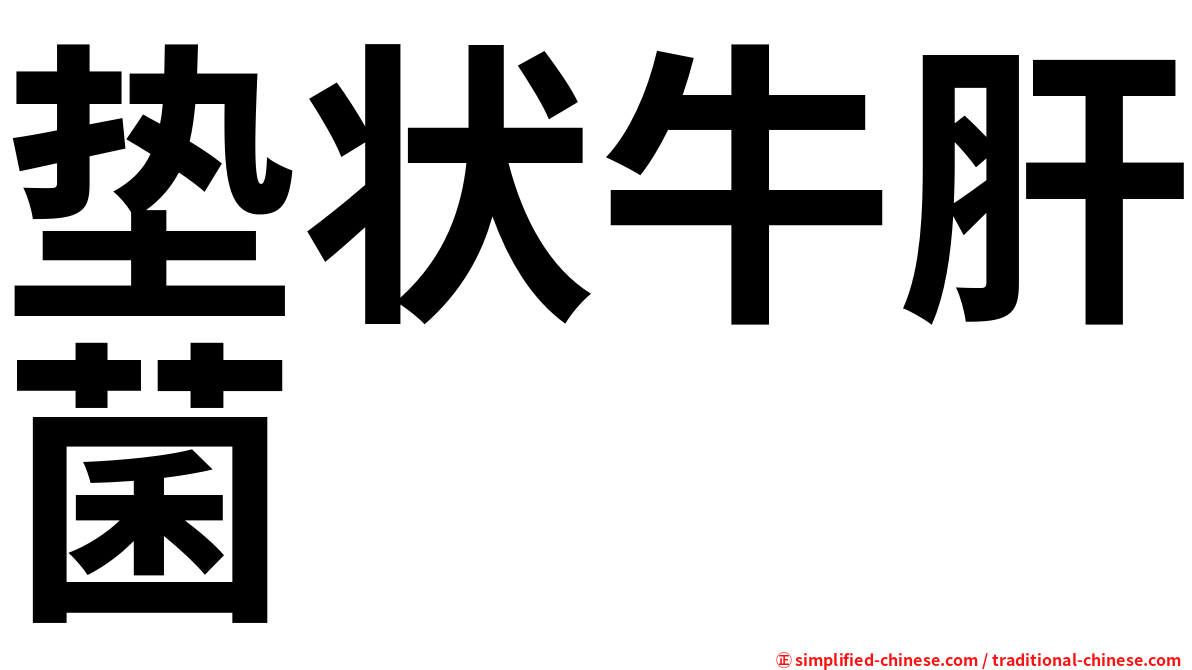 垫状牛肝菌