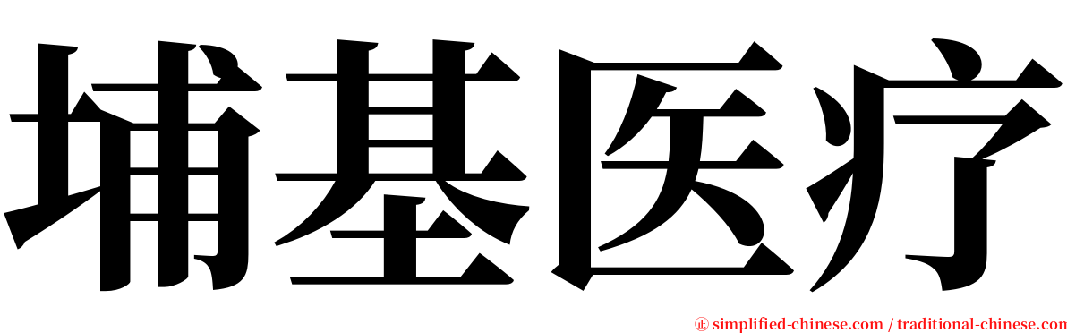 埔基医疗 serif font