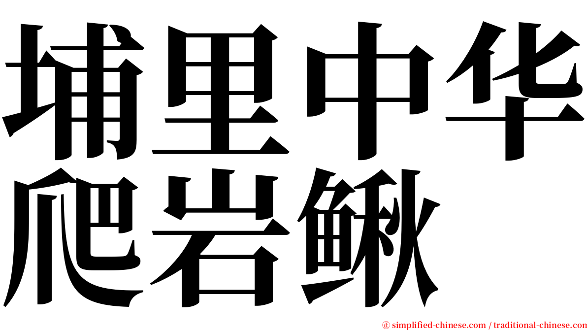 埔里中华爬岩鳅 serif font