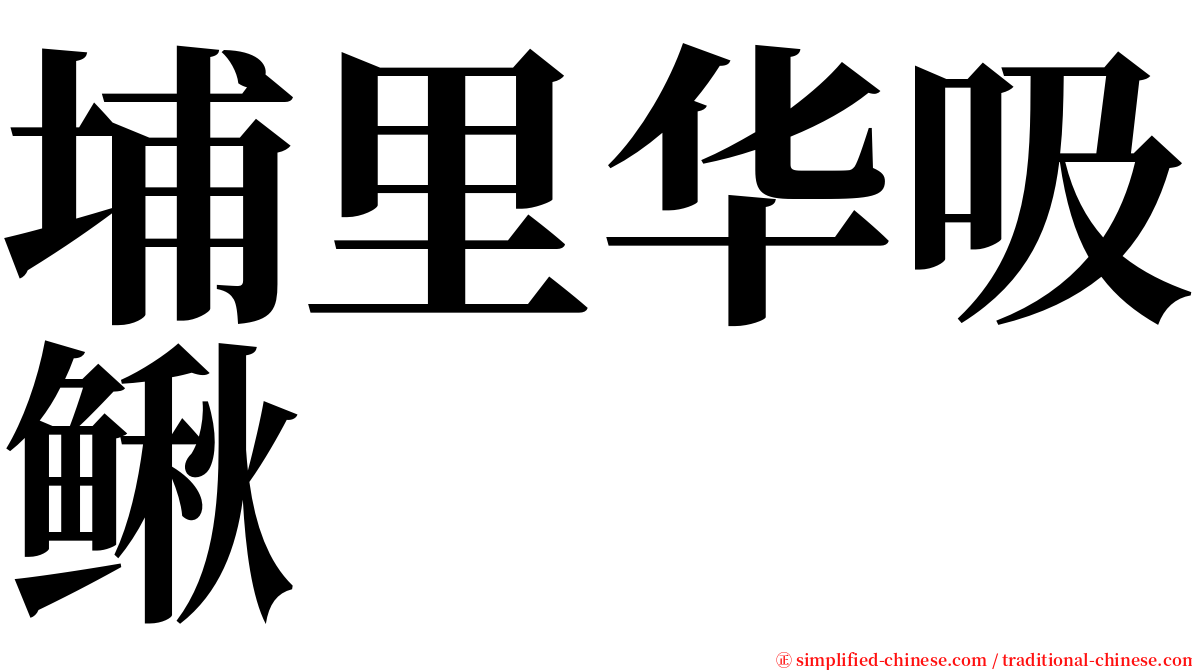 埔里华吸鳅 serif font