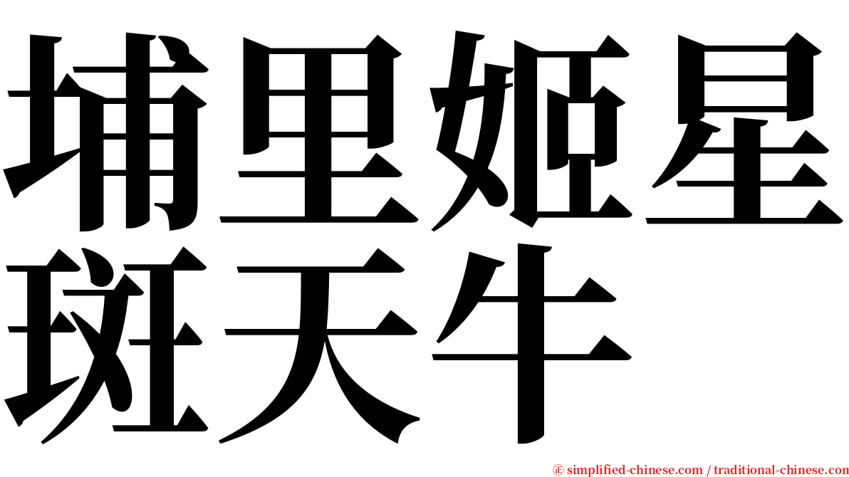 埔里姬星斑天牛 serif font