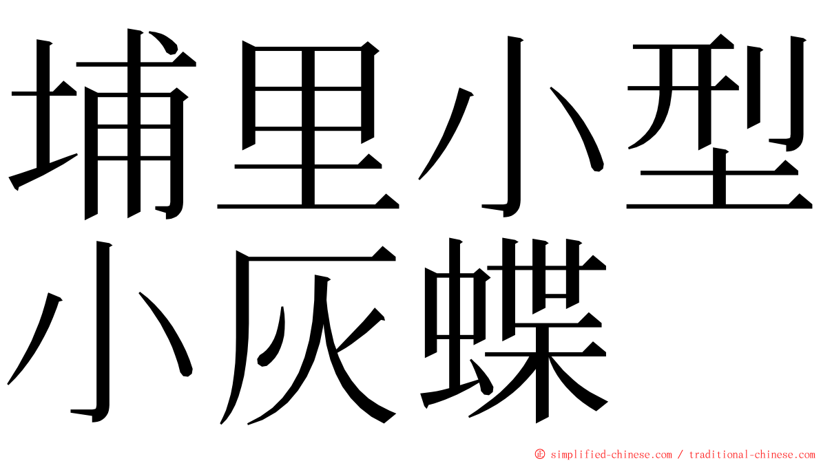 埔里小型小灰蝶 ming font